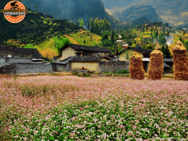 Attractions to Visit on Your Ha Giang Motorcycle Tour