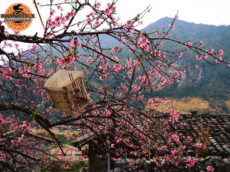 Exploring Northern Vietnam: Motorbiking the Stunning Ma Pi Leng Pass