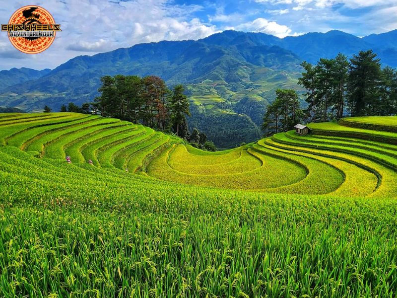 how to ride to mu cang chai