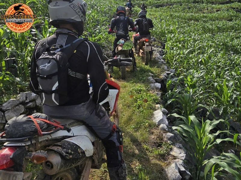 How to Ride a Motorcycle