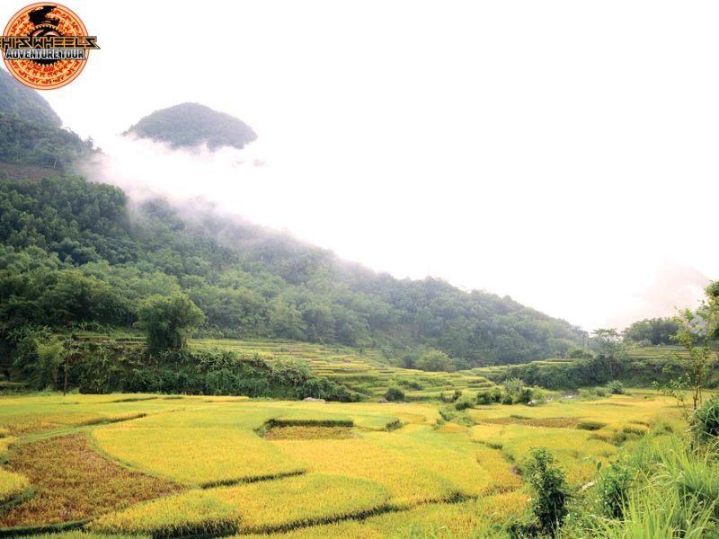 best vietnam motorbike routes