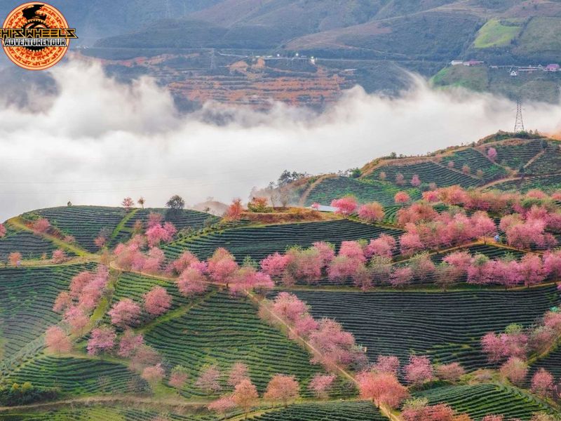 best vietnam motorbike routes