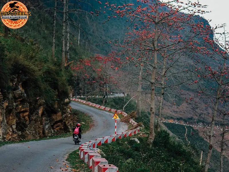 ha giang by motorbike