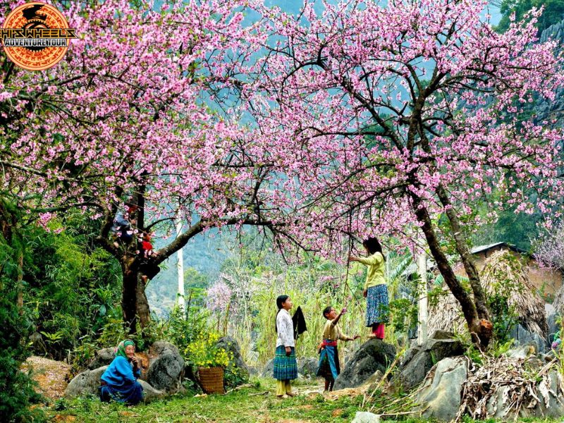 hanoi and north vietnam by motorbike