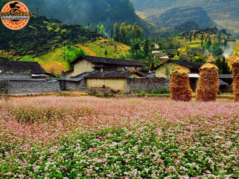 hanoi and north vietnam by motorbike