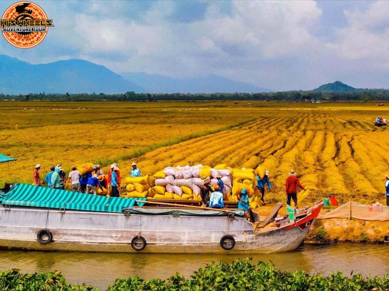 mekong delta motorbike tour