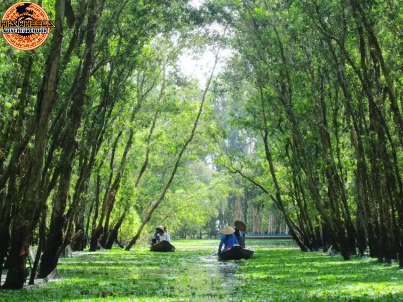 mekong delta motorbike tour