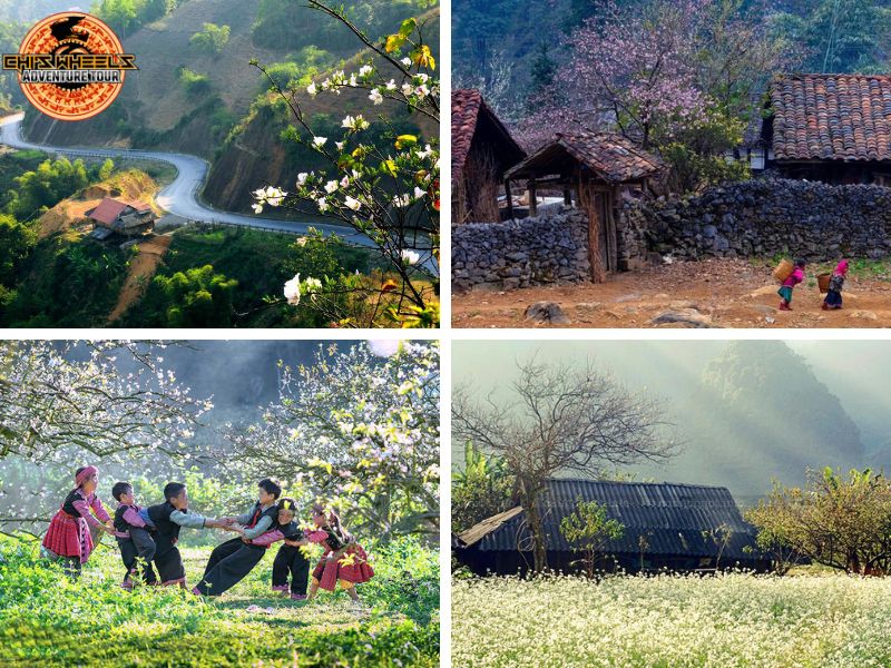 ride in northern vietnam