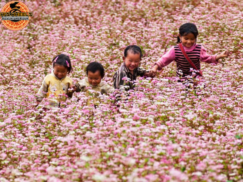 Best Time to Join Ma Pi Leng Pass Tours