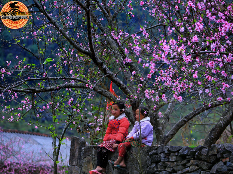 Best Time to Join Ma Pi Leng Pass Tours