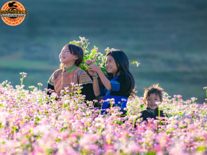 Best Time to Join Ma Pi Leng Pass Tours